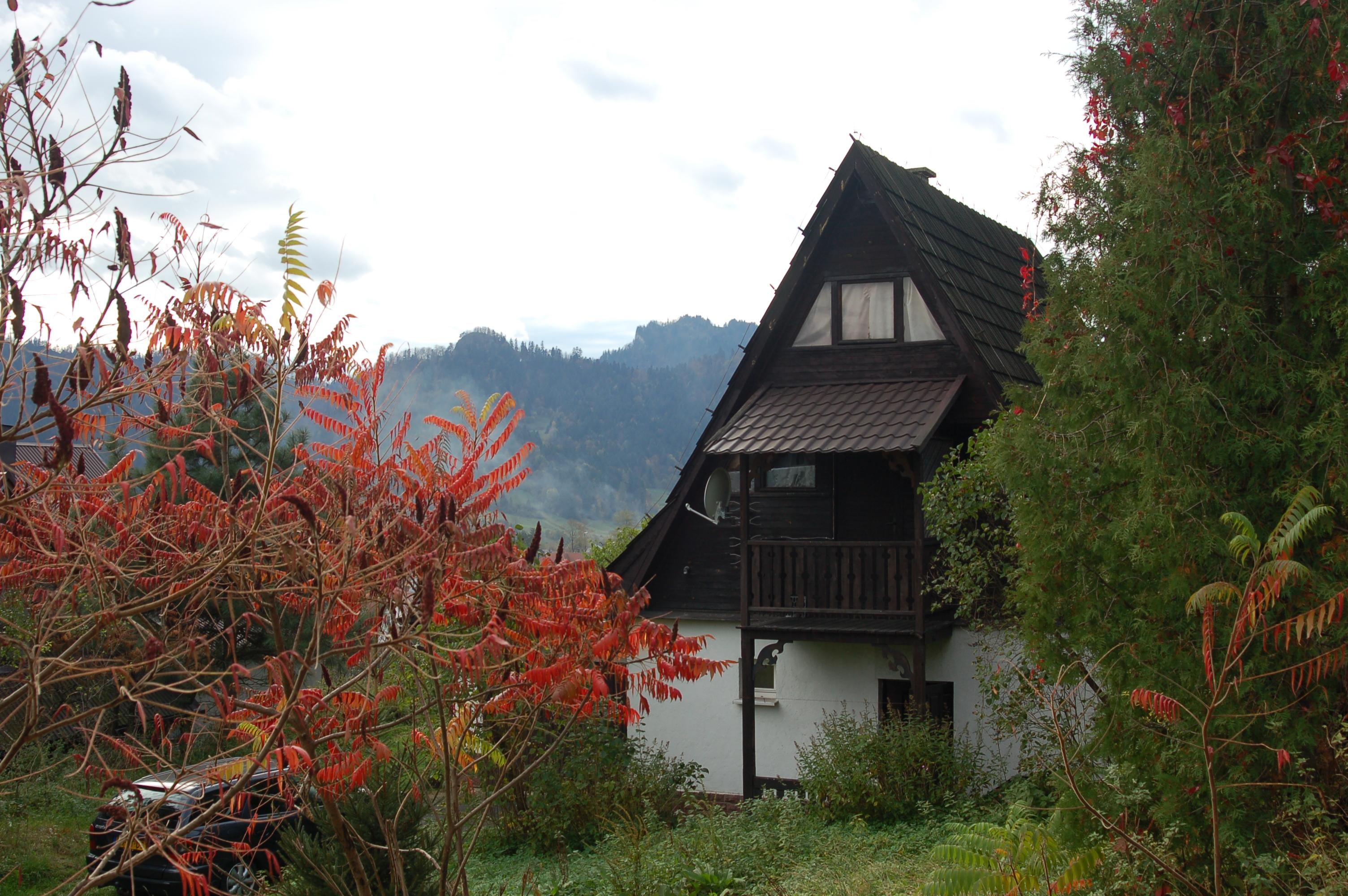 Villa Carlina among autumn trees