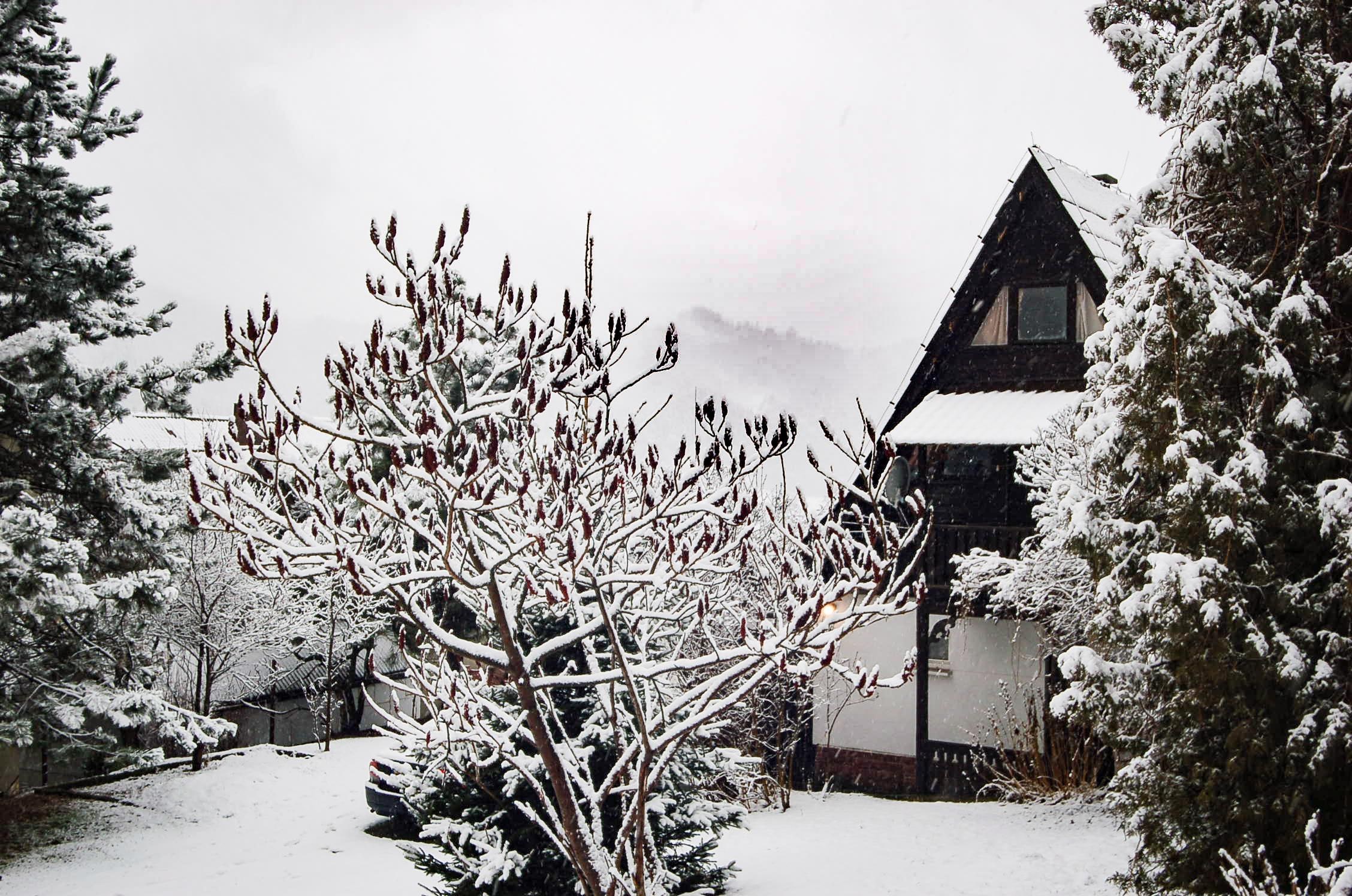 Villa Carlina in winter